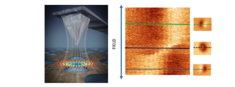 Nonstandard MFM image of a Py nanodot