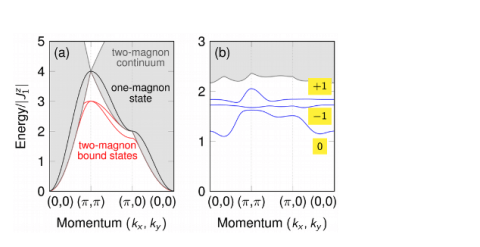 One and two-magnon spectrum