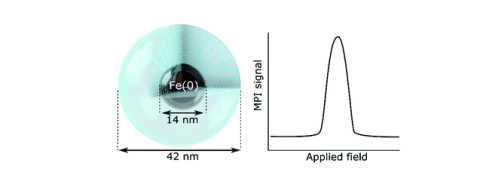 Zero-valent iron nanoparticle