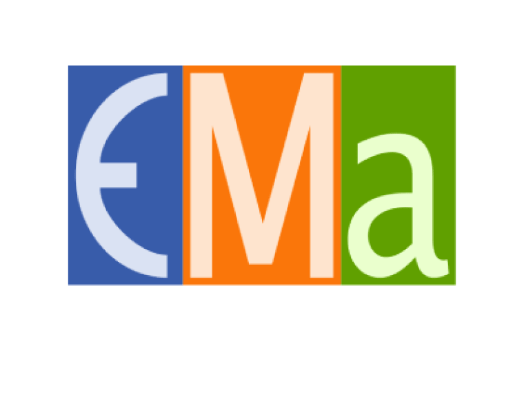 European Magnetism Association