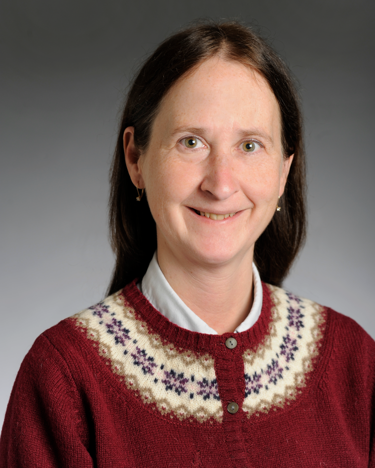 Sara Majetich headshot